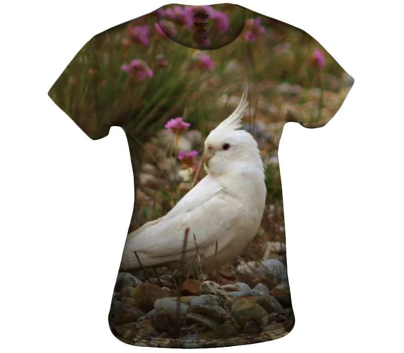 Special Offer White Cockatiel