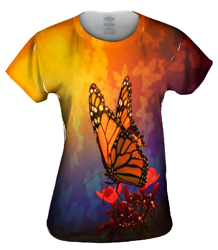 Buy Now Rainbow Butterfly