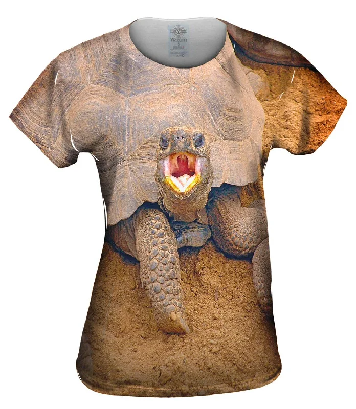 Exclusive Deal Wrong Side Of The Shell Baby Tortoise