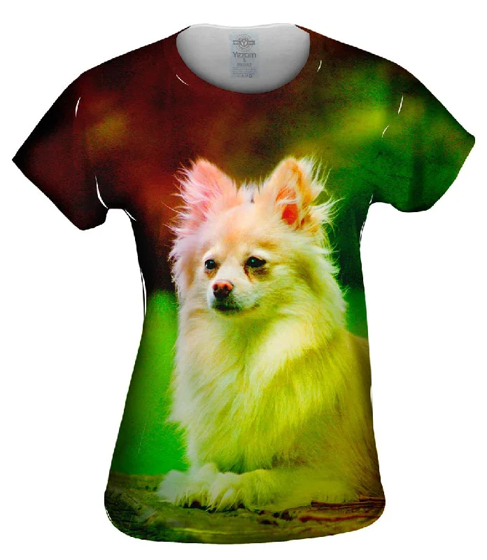 New Arrival Pomeranian Puppy